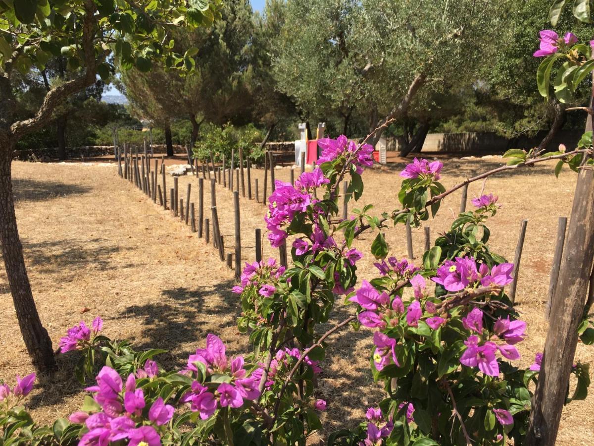 Grano Arso Appartamento Turistico Cisternino Εξωτερικό φωτογραφία